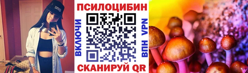 Галлюциногенные грибы Psilocybe  Карачев 